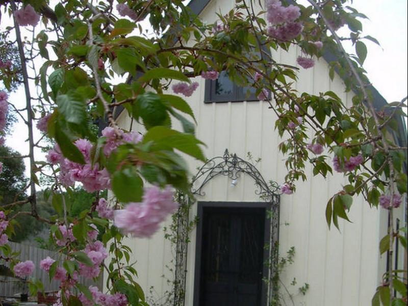 Silverleaf Cottage Rye Kültér fotó